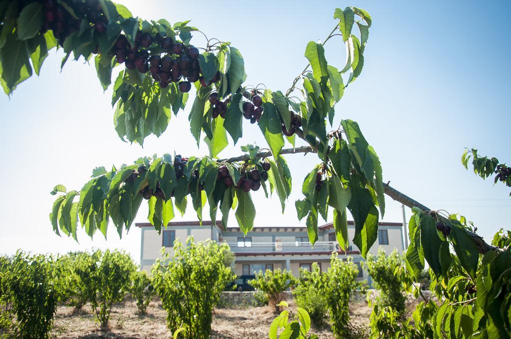 Agriturismo La Ferrovia Molfetta Eksteriør bilde